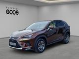 Lexus NX 300h E-Four Panorama Navi LED Dyn. Kurvenlich - Lexus Gebrauchtwagen in Stuttgart