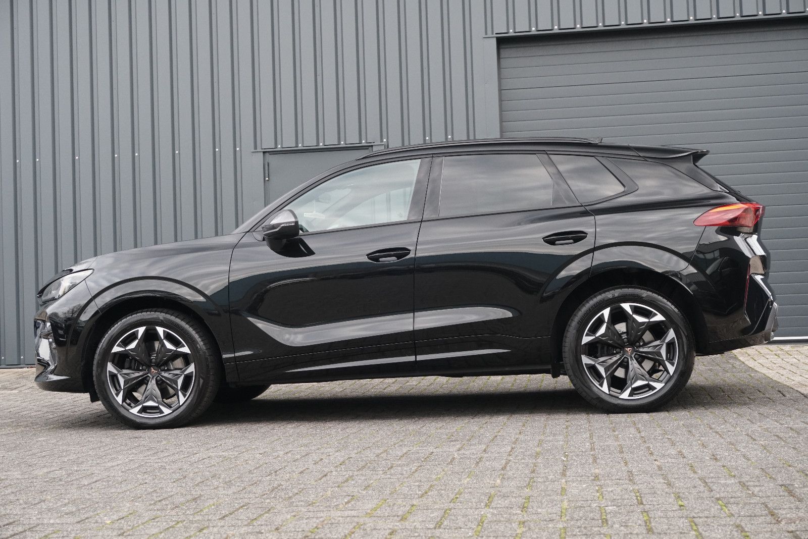 Cupra Terramar - Bild 4