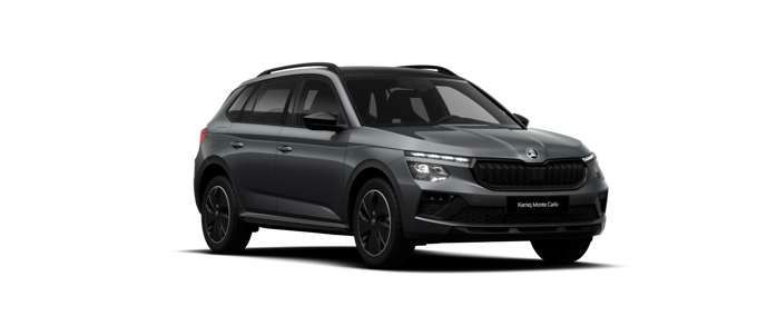 Skoda Kamiq - Bild 2