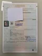 Harley-Davidson Sportster XL 1200 Iron - HARLEY-DAVIDSON SPORTSTER IRON