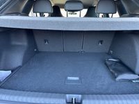 Cupra Terramar - Vorschau Bild 6