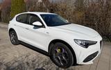 Alfa Romeo Stelvio 2.2 Diesel 16V 140W Sprint AT8-Q4 Sprint - weiße Alfa Romeo Stelvio