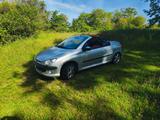 Peugeot 206 CC Platinum 110 Platinium - Peugeot 206: Platinium
