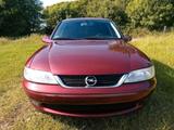 Opel Vectra Youngtimer 16V - Opel: Youngtimer