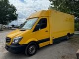 Mercedes-Benz Sprinter/Koffer/Regalsystem/EU5/1. Hand - Angebote