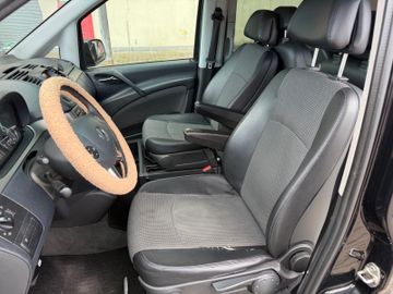 Mercedes Viano - 10