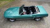 Ford Mustang 302 convertible  - gebrauchte Ford Mustang aus dem Jahr 1969