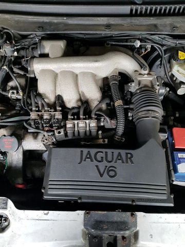 Jaguar Roman 01713542889