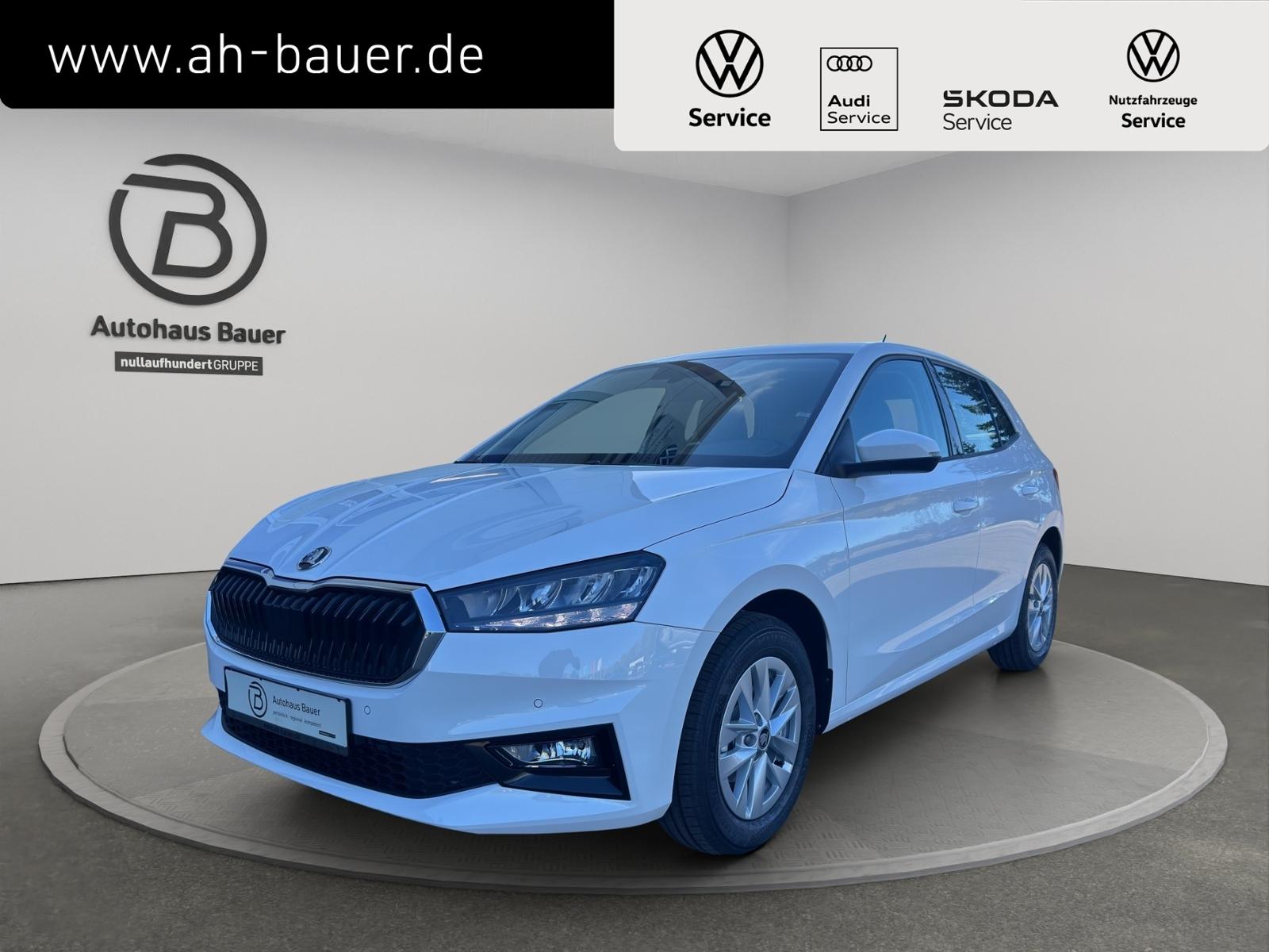 Skoda Fabia Classic 1.0TSI  RfK SmartLink wireless
