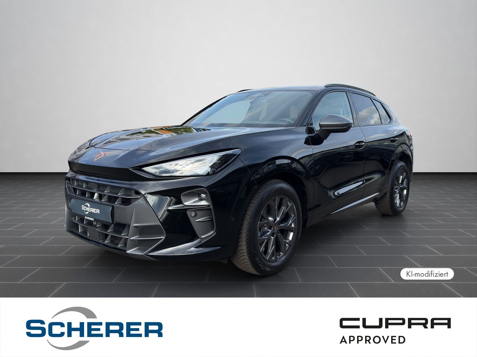 Cupra Terramar 1.5 eTSI DSG 5J-Garantie Sennheiser Mat