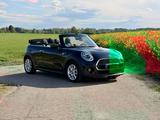 MINI Cooper Cabrio Chili,LED, SHZ, RFK, Leder, etc... - MINI Cooper Cabrio: Kleinwagen