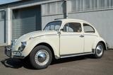 Volkswagen Käfer 1200 Export 1962 - VW Gebrauchtwagen von 1965