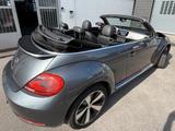 Volkswagen Beetle 1.4 TSI Cabriolet "Club", Volleder - Volkswagen Beetle: Club