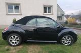 Volkswagen New Beetle Cabriolet Freestyle - Volkswagen Beetle: New