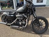 Harley-Davidson Sportster Iron XL883 - Offers matching your search criteria
