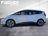 Renault Grand Scenic Business Ed. TCe 140 GPF 7-Sitzer - : Kleinbus, Sitzer 14
