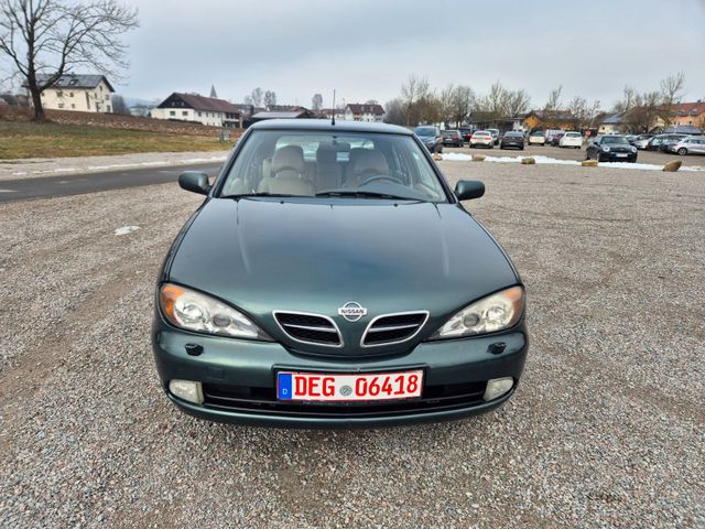 Nissan Primera-LEDER-XENON-SSD-SHZ-SCHALTGETRIEBE