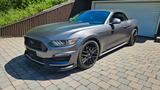 Ford Mustang 2.3 EcoBoost - - gebrauchte Ford Mustang aus dem Jahr 2015