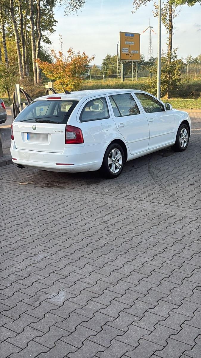 Skoda Octavia 2011 — photo 11