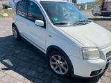 Fiat Panda 100HP - Fiat Panda: Hp100