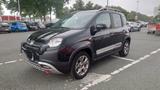 Fiat Panda 1.0 GSE Hybrid CROSS - Fiat Panda Gebrauchtwagen in Bremen
