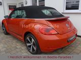Volkswagen Beetle 1.2 Club Plus Xenon "original 8.000 Km" - gebrauchte VW Beetle aus dem Jahr 2015