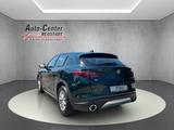Alfa Romeo Stelvio Business Q4 XENON/KAMERA/APP/PANO/ACC - Alfa Romeo: Grün