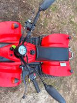 Andere Rex Quad 50 - QUAD