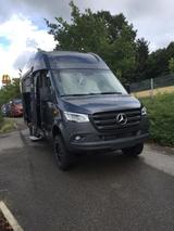 La Strada Nova M - La Strada Nova