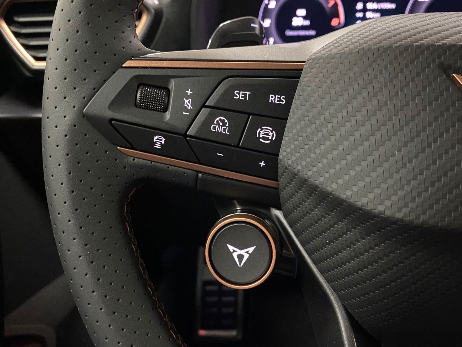 Fahrzeugabbildung CUPRA Formentor 1.5 TSI DSG+19" ALU+AHK+ACC+3-ZONEN KL