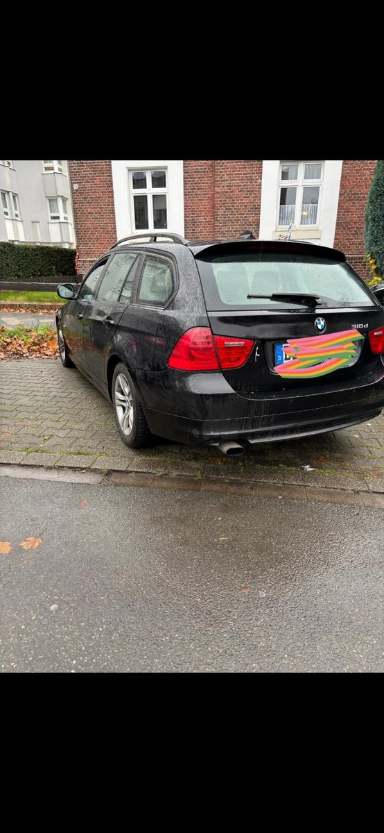 BMW 318 2010 — салон