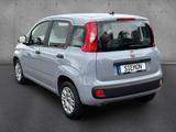 Fiat Panda 1.2 8V Easy Klima Radio DAB GJR USB elFH - gebrauchte Fiat Panda aus dem Jahr 2021