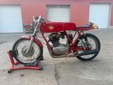 Ducati 250 Rennmaschine - DUCATI 250