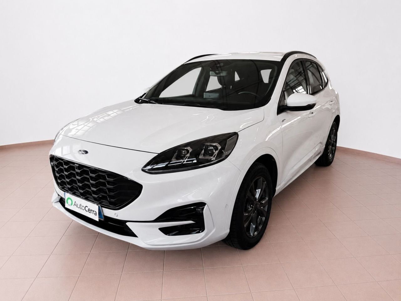 Other Ford Kuga 2.0 EcoBlue 120CV aut. AWD ST-Line X