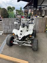 Shineray 250ccm Quad Motorschaden mit TÜV - Offers
