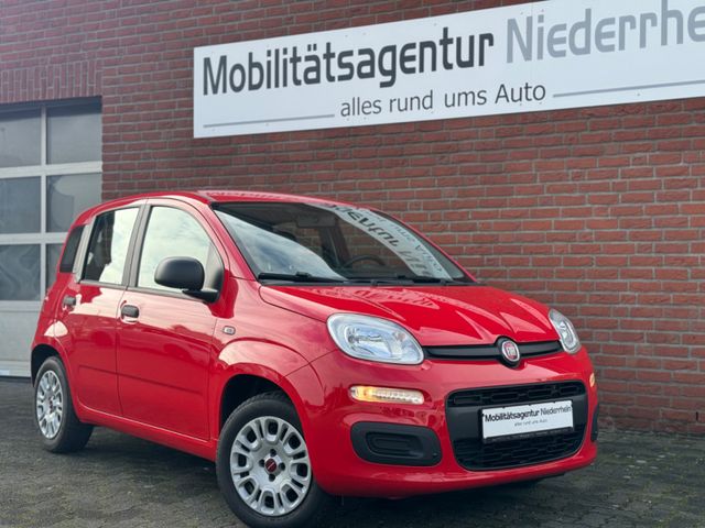 Fiat Panda 1.2 *5-trg.*1.Hand*Klimaanlage*Servo*ZV*