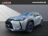 Lexus UX 250h STYLE*FWD*EDITION*FACE LIFT*LED*CARPLAY* - Lexus Gebrauchtwagen von 2022