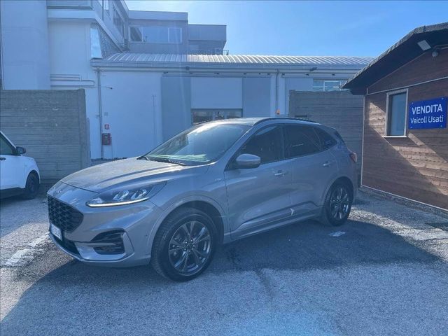 Ford FORD Kuga 2.0 ecoblue ST-Line awd 190cv auto del