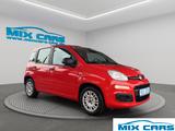 Fiat Panda 1.2 Easy/KLIMA/CITY/EU6 - Fiat Panda: Rot