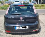 Fiat Punto 1.2 8V 2013 - Viele Extras - Fiat Punto in Oberhausen