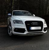 Audi SQ5 3.0 TDI plus tiptronic quattro - - Audi SQ5 Gebrauchtwagen in Köln