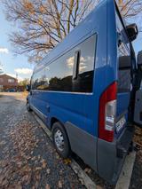 Peugeot Boxer (Selbstausbau) - Peugeot Wohnwagen & Wohnmobile