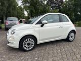 Fiat 500 1.0 GSE Hybrid DOLCEVITA  schön weiß  - Fiat 500: Weis