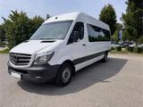 Mercedes-Benz Sprinter 313 CDI BLUETEC Klima   - Mercedes-Benz Sprinter: 313 Cdi