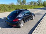 Volkswagen Beetle 1.2 TSI BMT Design Design - Volkswagen Beetle in Hamburg
