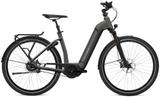 Flyer Gotour6 7.23 Automatiq 28", L - Flyer E-Bikes