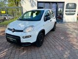 Fiat Panda 4x4/Klima - Fiat Panda: Allradantrieb