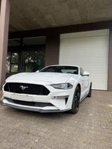 Ford Mustang GT 5.0 V8 Fastback - Ford Mustang: Coupé, Fastback