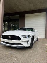 Ford Mustang GT 5.0 V8 Fastback - Ford Mustang: Fast