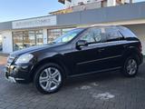 Mercedes-Benz ML 500 5,5l V8 AMG Comand Bi Xenon H&K AHK RFK  - Mercedes-Benz Ml AMG